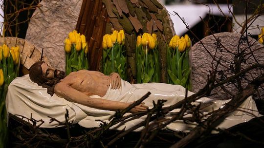 Groby Pańskie w czasach zarazy. Zamojskie kościoły [dużo zdjęć]