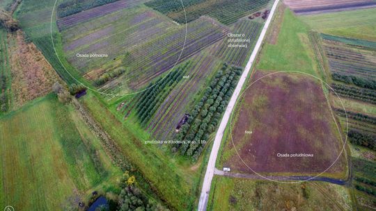 Groch i bobik sprzed tysiąca lat. Archeolodzy będą mieli co robić