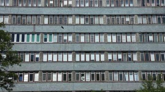 Groźna bakteria na porodówce szpitala w Puławach? Sanepid zaprzecza