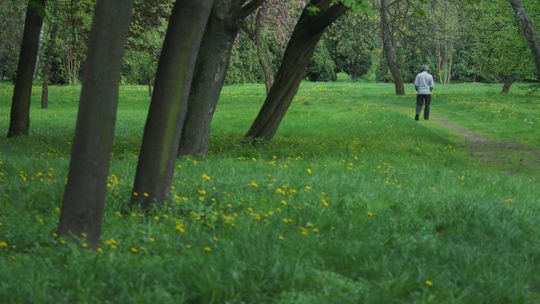 Groźna choroba czai się w trawie