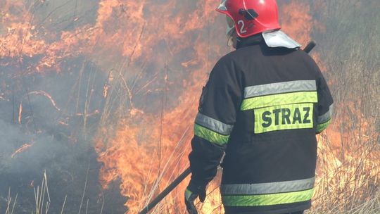 Groźne pożary suchych traw. Mężczyzna poparzony