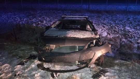 Groźny wypadek na S17 w Rykach. Łoś na drodze spowodował zderzenie