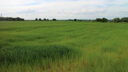 "Grunt na Medal". Wybrali najlepszy teren inwestycyjny w regionie