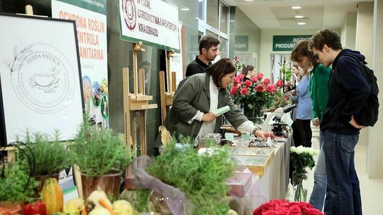 Grunt to mieć pole – do popisu oczywiście