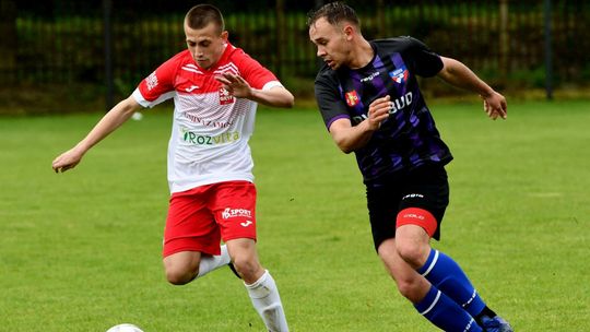 Gryf Gmina Zamość – Bizon Jeleniec 6:0, Opolanin pewny utrzymania i niespodzianka w Rejowcu