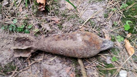 Grzybiarz znalazł nie tylko grzyby. Potrzebni byli saperzy