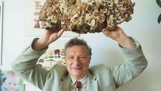 Grzybowe fakty i mity. Jakich grzybów szukać, których unikać? Rozmowa z prof. UMCS