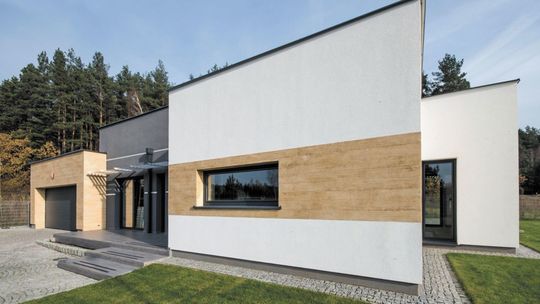 Grzyby i pleśń w domu. Podpowiadamy, jak zapewnić rodzinie dobry mikroklimat