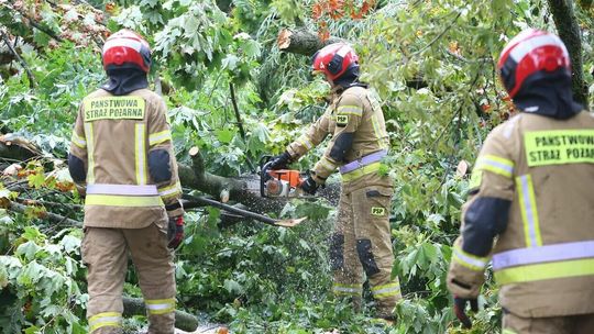 Gwałtowna burza uszkodziła linie energetyczne. Bez prądu nawet ponad 10 tys. osób