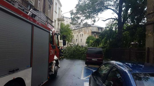 Gwałtowne opady deszczu i silny wiatr w Lublinie. Strażacy mają sporo pracy [zdjęcia]