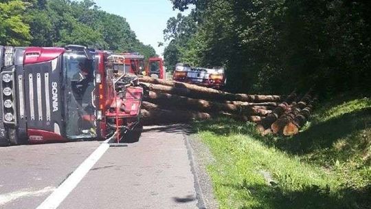 Gwałtownie zahamował, ciężarówka z drewnem wywróciła się na drogę 