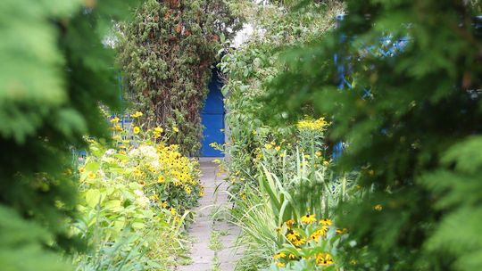 Gwałty na ogródkach działkowych w Lublinie