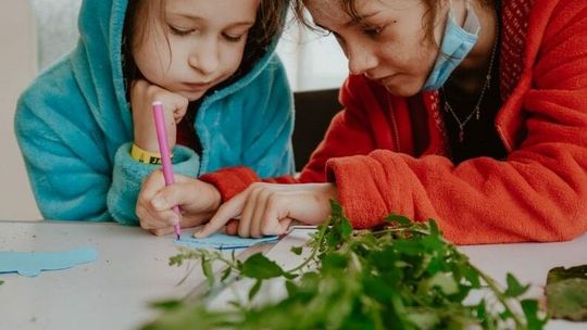 Gwizdawki, samoróbki i inne cuda. Warsztaty na Jarmarku Jagiellońskim [program] 