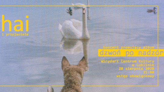 Hai, Szatt i Golden na Centralnym Placu Zabaw