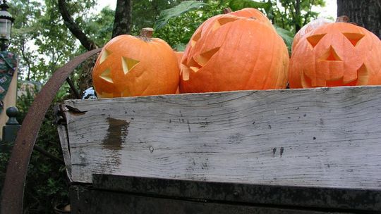 Halloween: Czekamy na Wasze zdjęcia