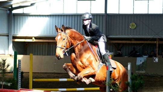  Halowe Zawody Regionalne w skokach przez przeszkody (zdjęcia)