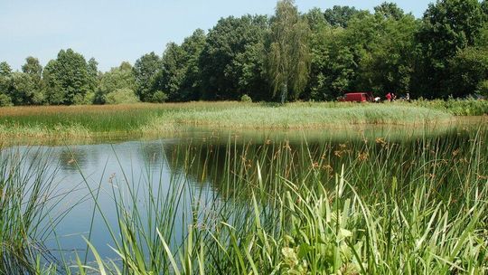 Hektary nad Klukówką czekają. Lasy Państwowe: Pierwszy krok należy do miasta 