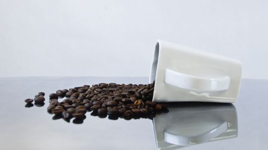 Herbata, kawa i inne... Wystawa zdjęć młodych fotografików