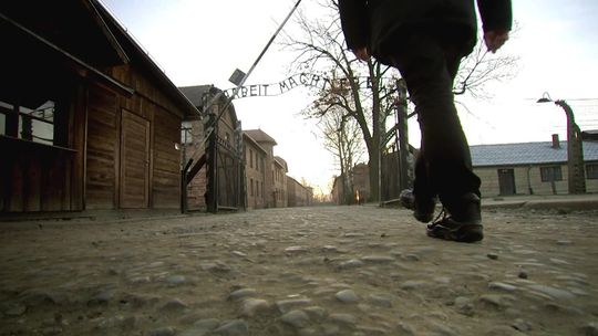 Historie ocalałych z obozu Auschwitz-Birkenau