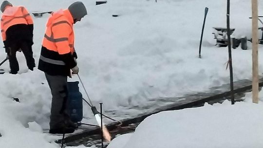 Hit internetu. Pół Polski naśmiewa się z Łęcznej. Nasadzenia przy pomocy palnika?