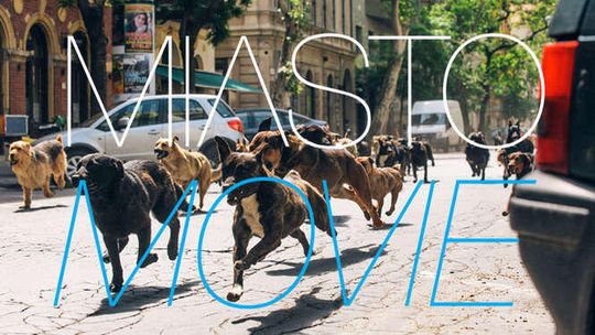 Hitchcock i inni, czyli Miato Movie w lutym (program)