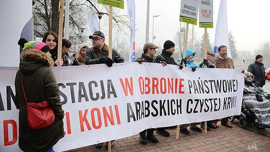 Hodowcy koni przed Torwarem. Protest i petycja ws. przywrócenia odwołanych prezesów