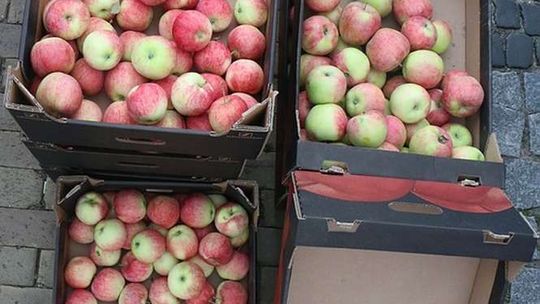 Holendrzy likwidują przetwórnię w Karczmiskach. Zwolnienia