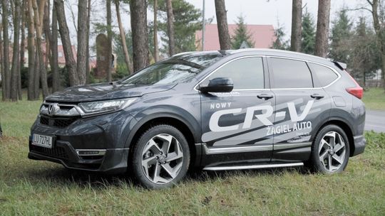 Honda CR-V obroniła się w teście [wideo]