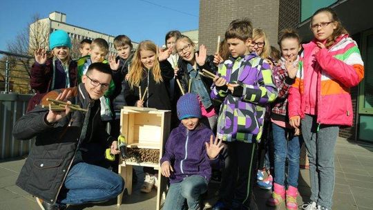 Hotel dla pszczół na tarasie biblioteki Uniwersytetu Przyrodniczego