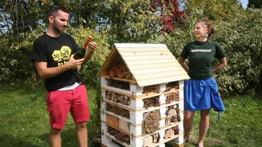 Hotele dla pszczół także w Lublinie