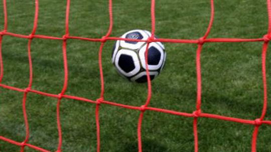 Hotele na Roztoczu chciałyby zarobić na Euro 2012 i kibicach