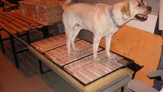 Hrebenne: Pies wywąchał kontrabandę