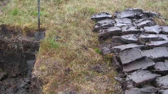 Hrubieszów będzie grzany torfem?