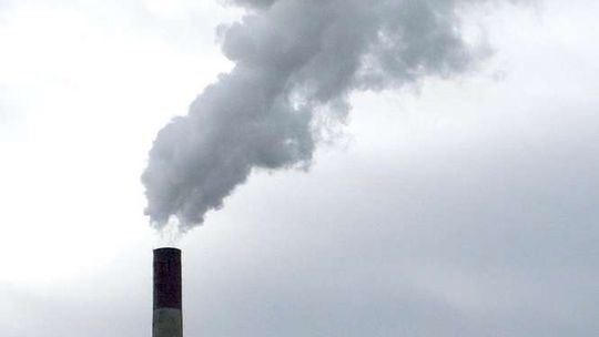  Hrubieszów: Mieszkańcy nie chcą spalarni ani zakładu. "Będą smrodzić nam pod oknami"