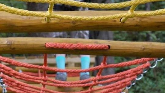 Hrubieszów: Zbudują park linowy