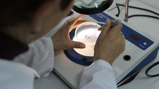 Hurtownia pełna przeterminowanej żywności. Prokuratura przyjrzy się sprawie