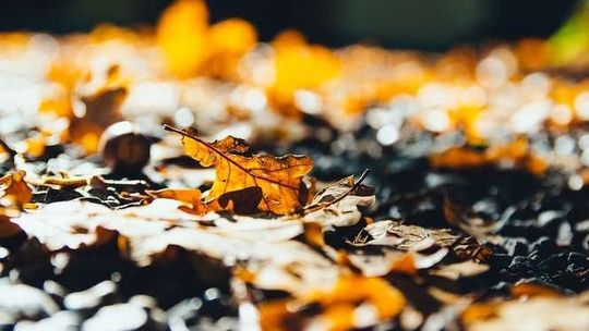 Huśtawka pogodowa trwa. Idzie spore ocieplenie