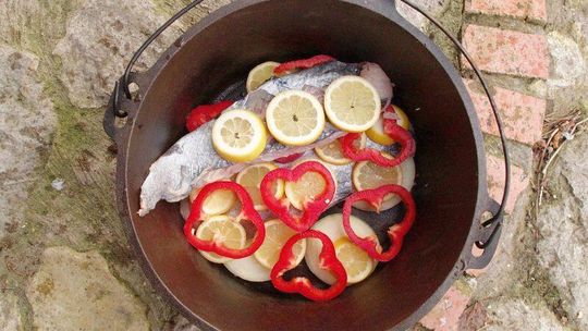 I Festiwal kuchni wędkarskiej w Lublinie