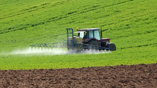 Idą przelewy do rolników. ARiMR rozpoczęła wypłaty
