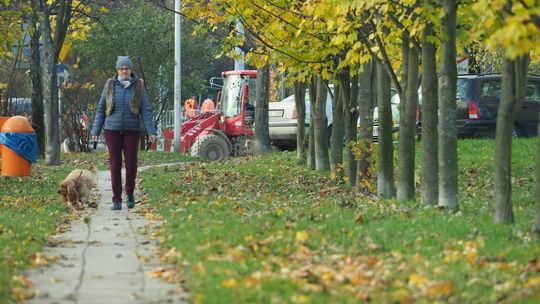 Idzie spore ochłodzenie. Będzie też padało i wiało