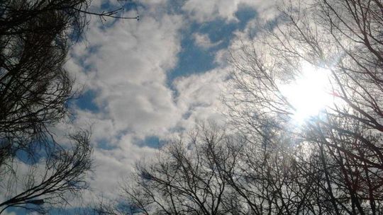 Idzie wiosna. Poniedziałek słoneczny i na plusie