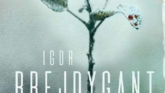 Igor Brejdygant, „Szadź”