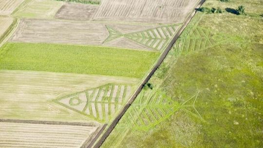 II Lubelski Festiwal Land Art. na Roztoczu