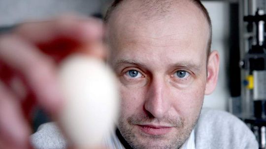 Ile jaj znosi kura? Czy są zdrowe? Od czego zależy ich kolor? Rozmowa z ekspertem