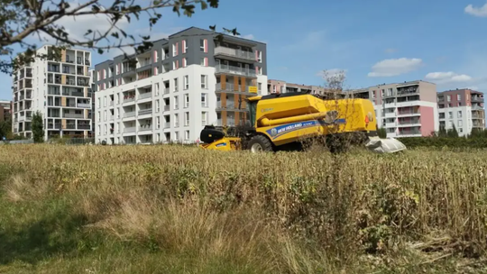 Ile kosztują mieszkania w Lubelskiem? Lublin dużo droższy od regionu, ale są zaskoczenia