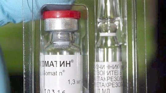 Ile leków można przywieźć do Polski? Ukrainiec wpadł w Hrebennem