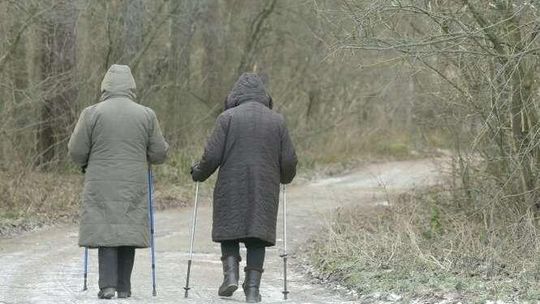 Ile pieniędzy dostają emeryci i renciści w Lubelskiem?