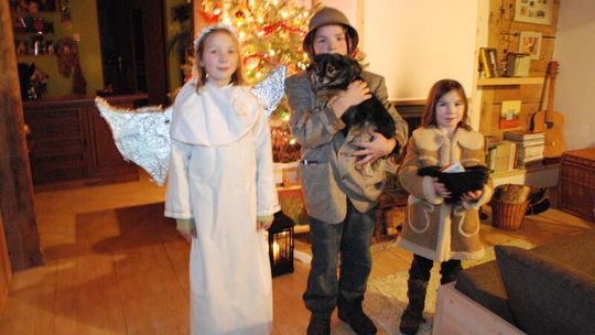 Iłowa: Kolędnicy odwiedzają domy