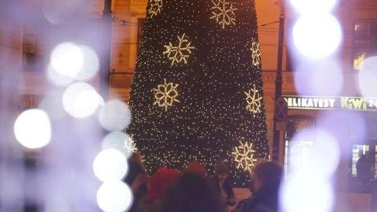 Iluminacje świąteczne w Lublinie. Choinka już świeci, ale nie wszystko udało się włączyć [zdjęcia]