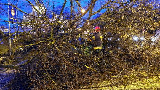IMGW ostrzega przed porywistym wiatrem. Wichury mogą powodować duże straty